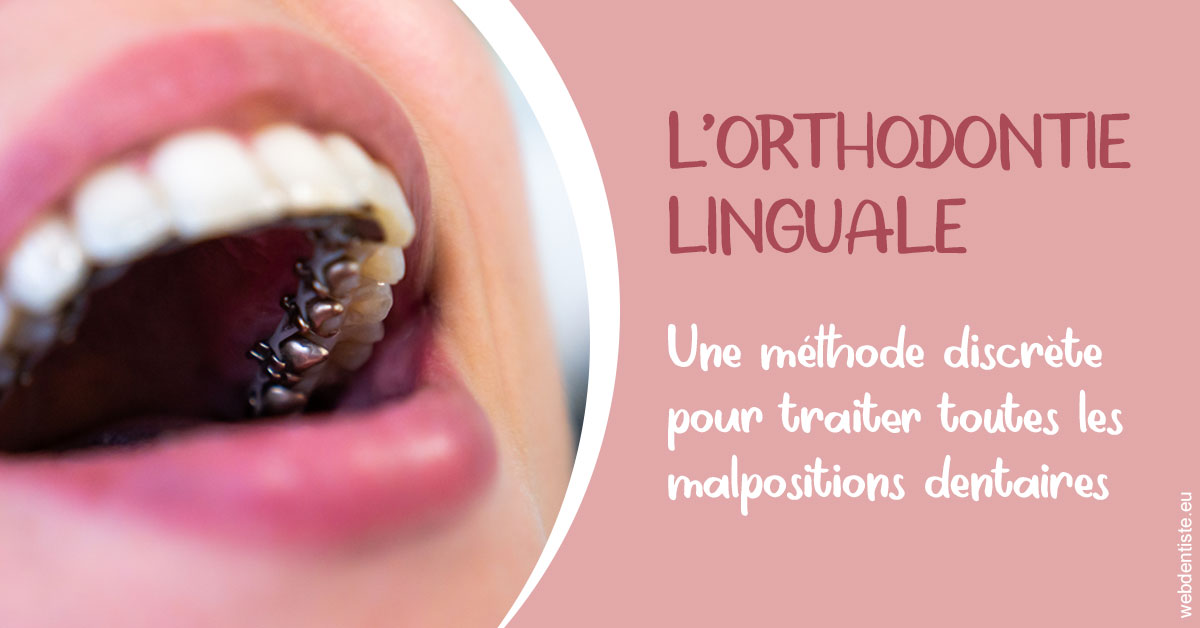 https://dr-edouard-gilles.chirurgiens-dentistes.fr/L'orthodontie linguale 2