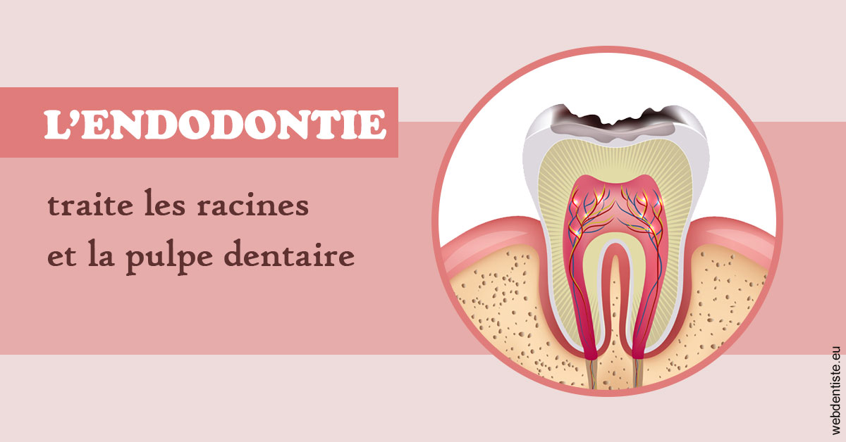 https://dr-edouard-gilles.chirurgiens-dentistes.fr/L'endodontie 2