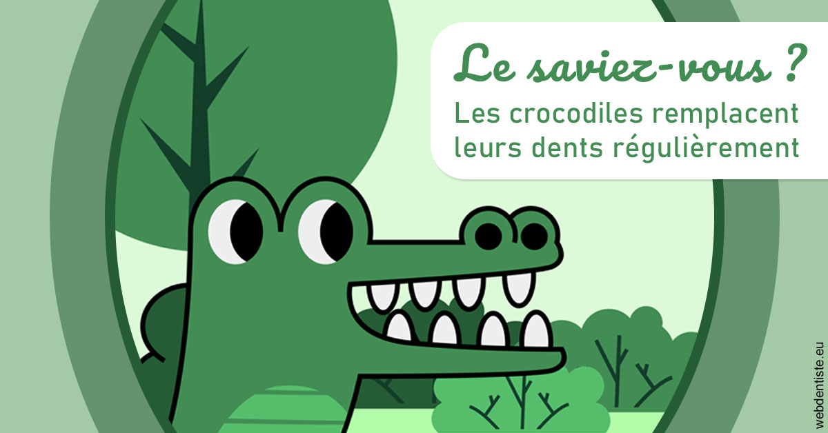 https://dr-edouard-gilles.chirurgiens-dentistes.fr/Crocodiles 2