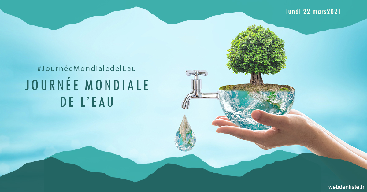 https://dr-edouard-gilles.chirurgiens-dentistes.fr/Journée de l'eau 1