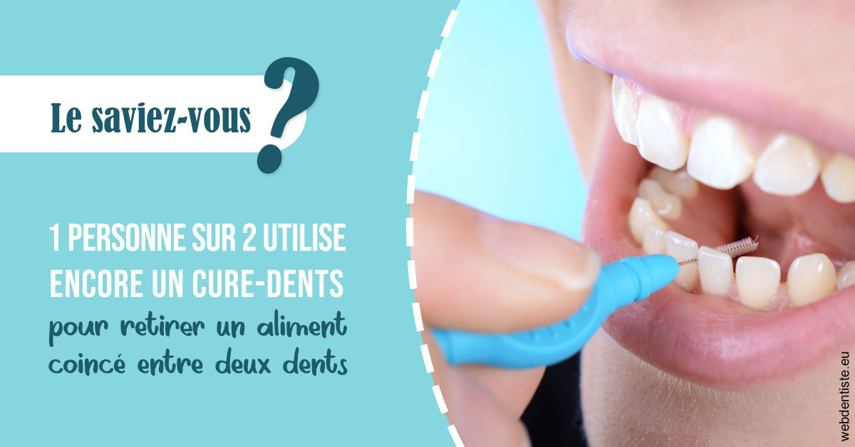 https://dr-edouard-gilles.chirurgiens-dentistes.fr/Cure-dents 1
