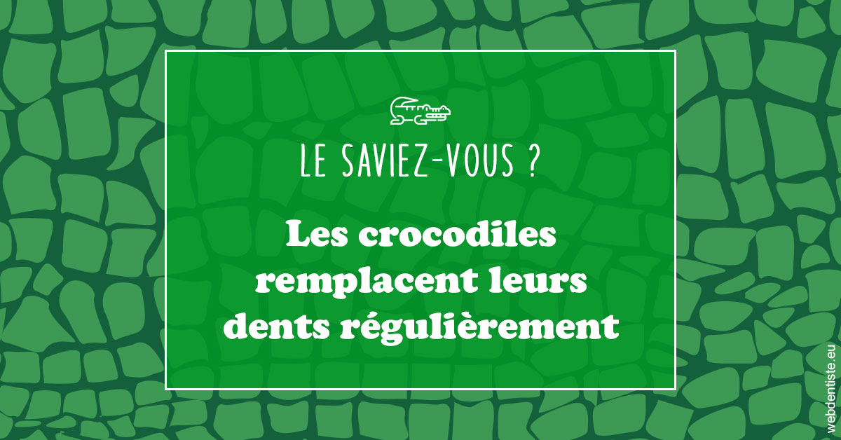 https://dr-edouard-gilles.chirurgiens-dentistes.fr/Crocodiles 1